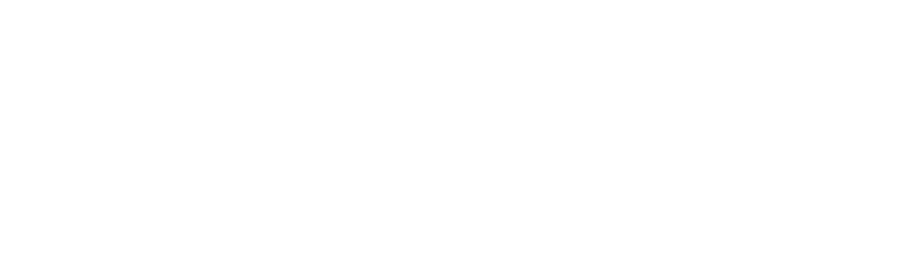 C2O Logo